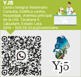 veterinarios verde-03